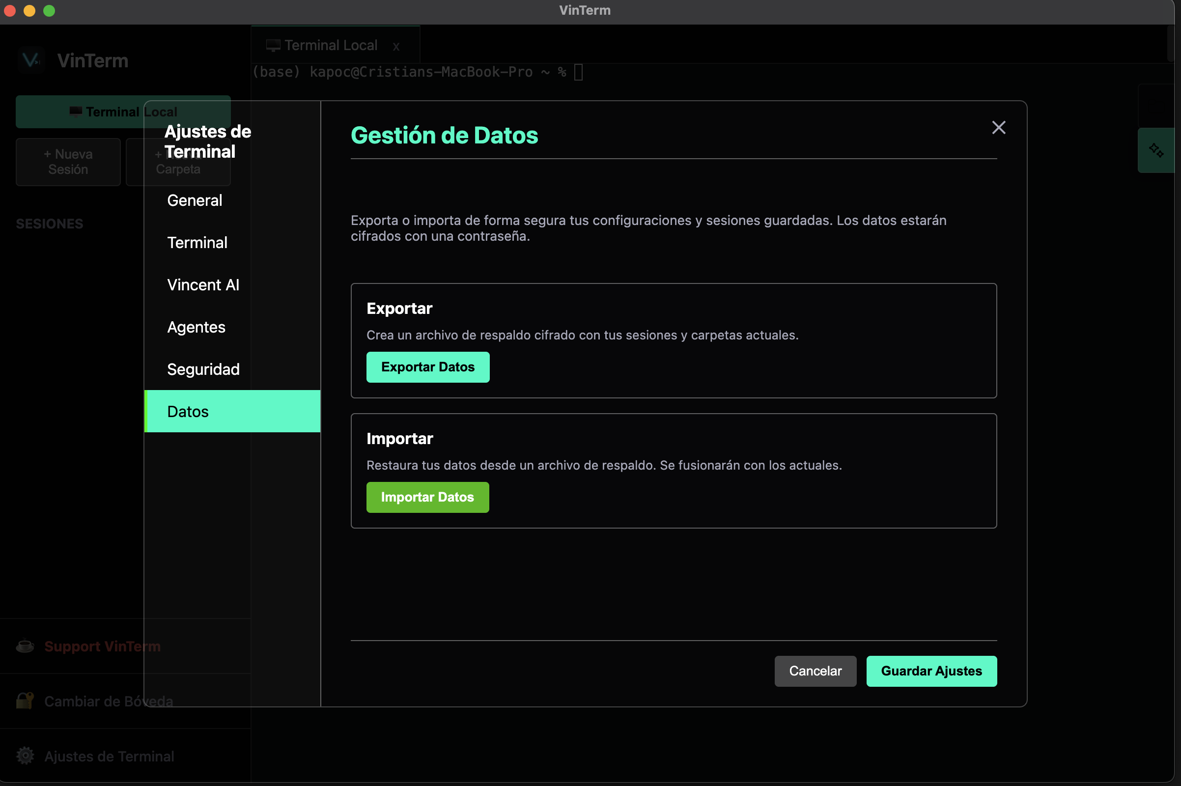 VinTerm Screenshot 5