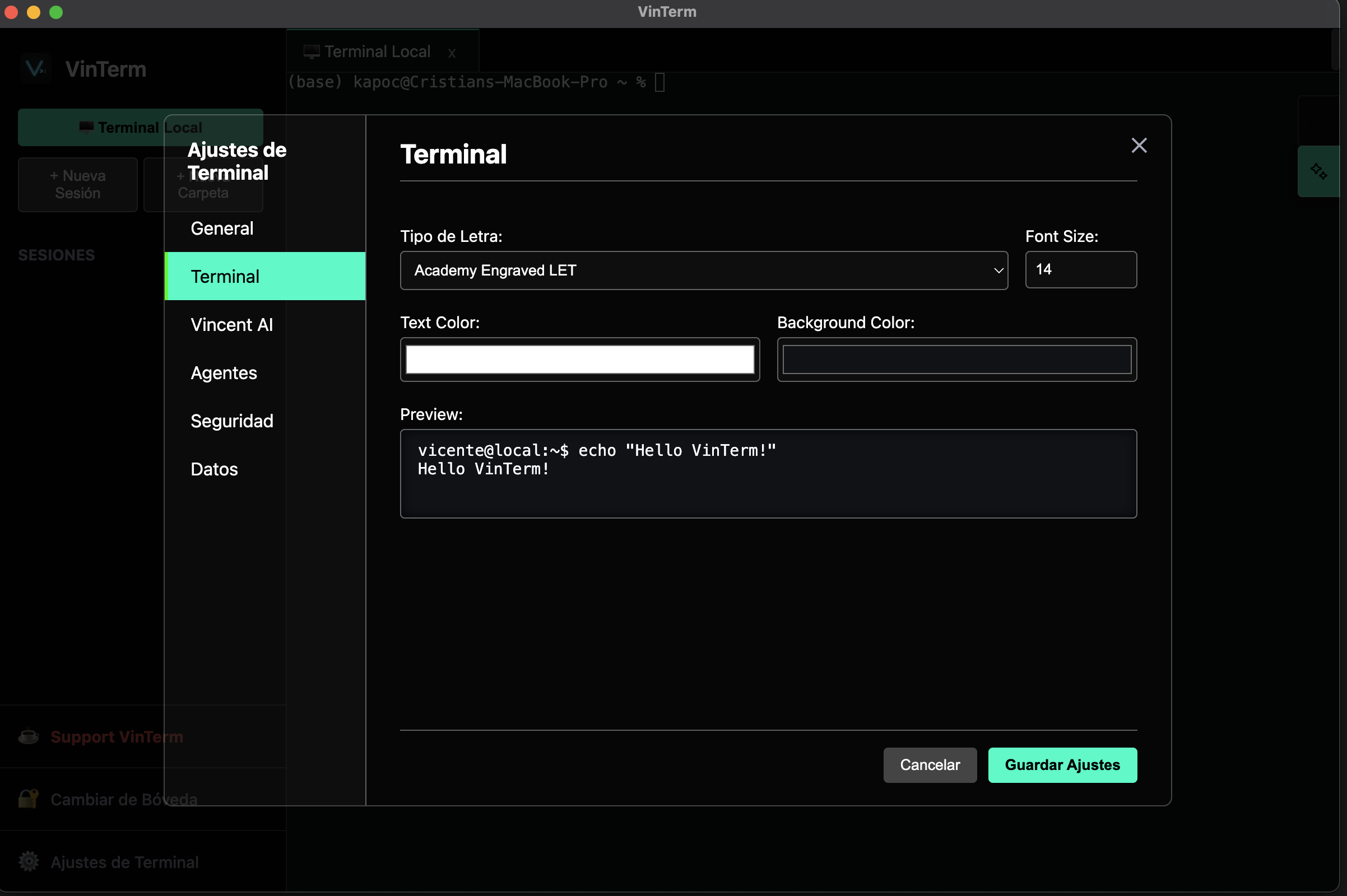 VinTerm Screenshot 7