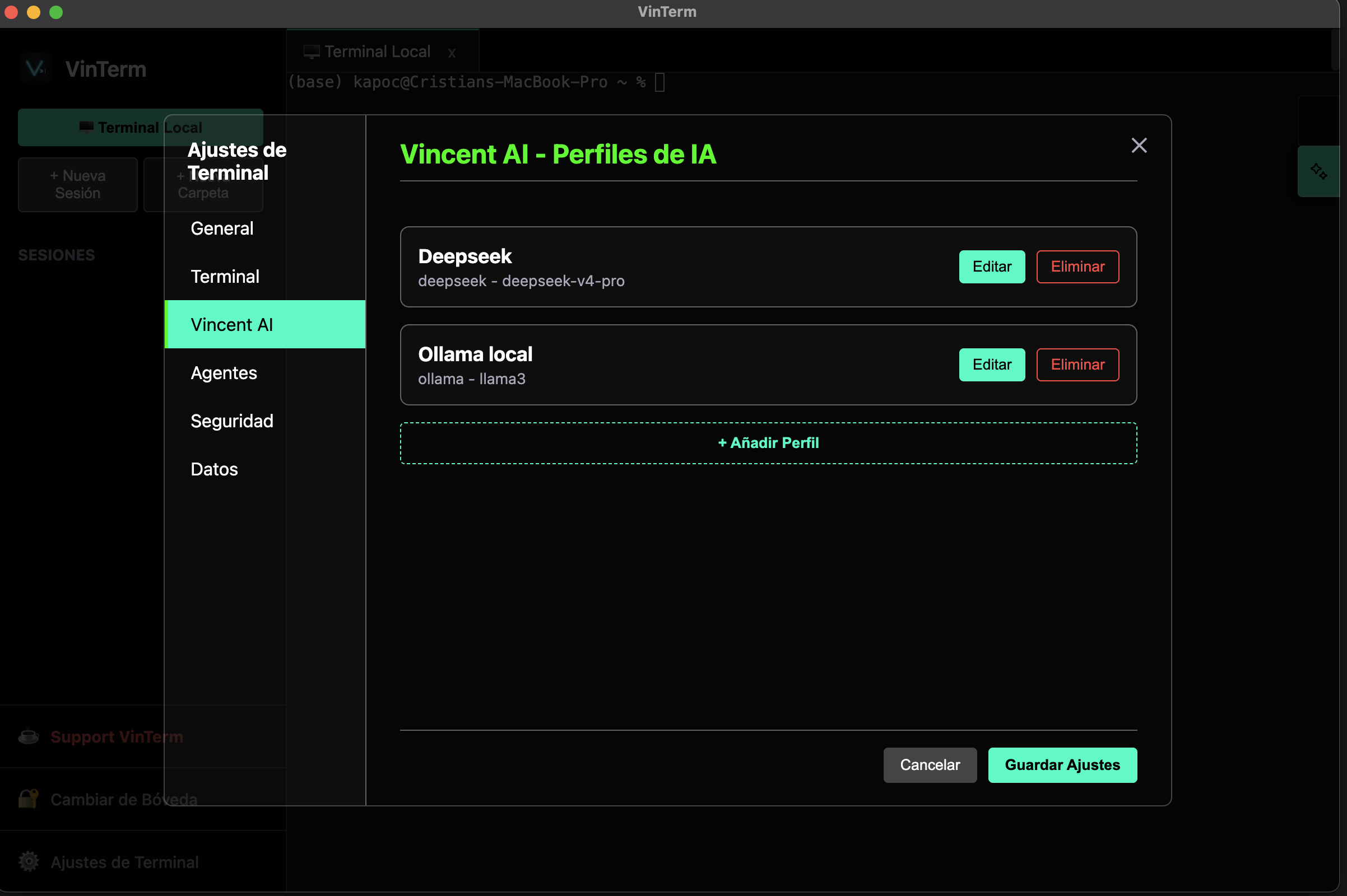 VinTerm Screenshot 8